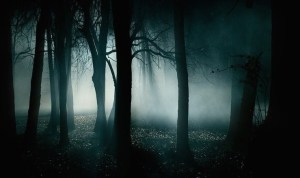 Dark Forest - Folklore